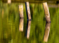 Trout Pond